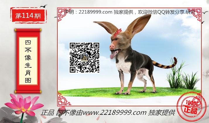 最新消息 第142页