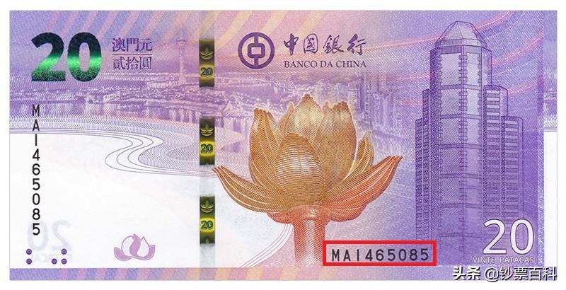 新澳门内部一码精准公开网站,综合解答解释落实_ou55.75.55